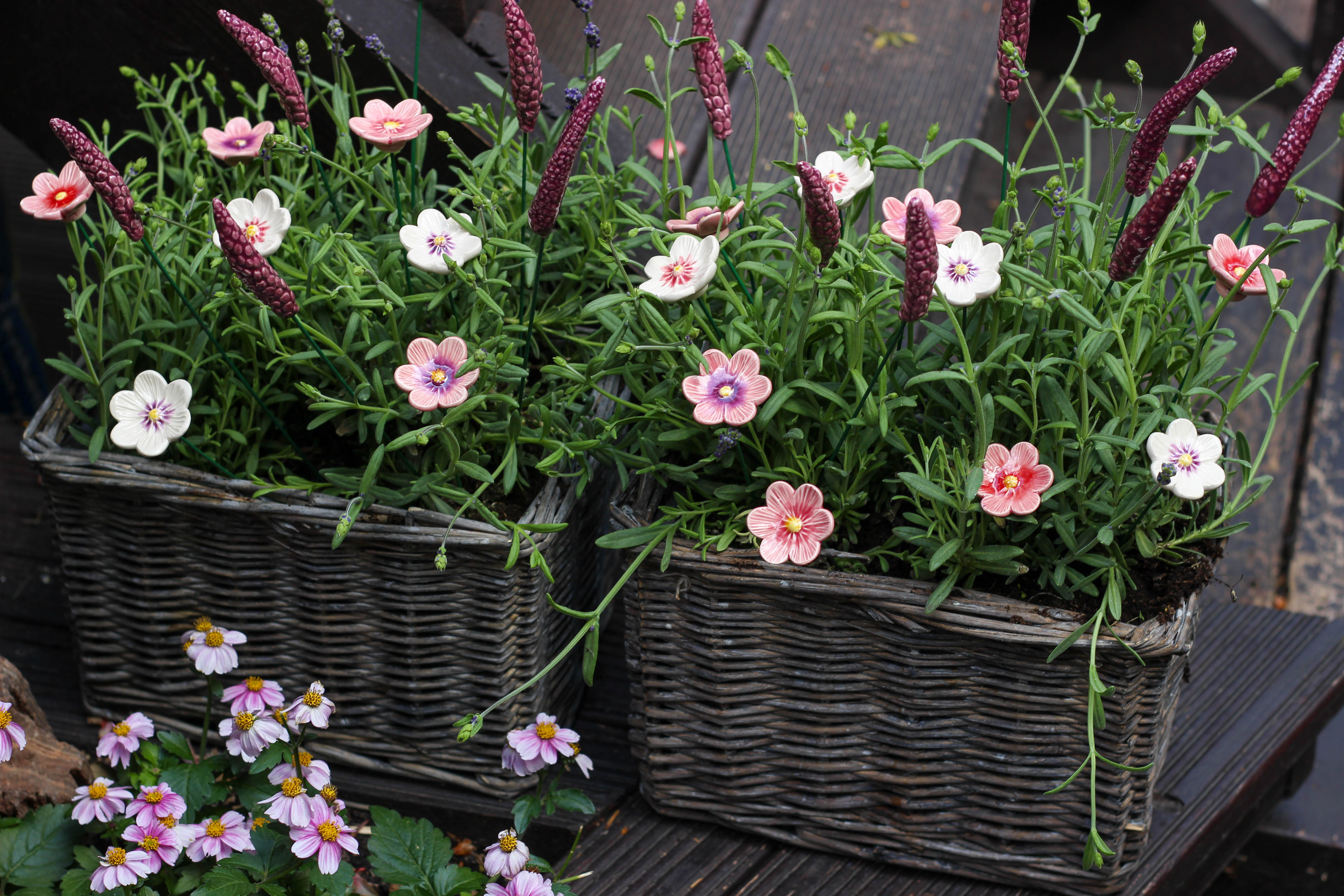 lavender and ceramic flowers