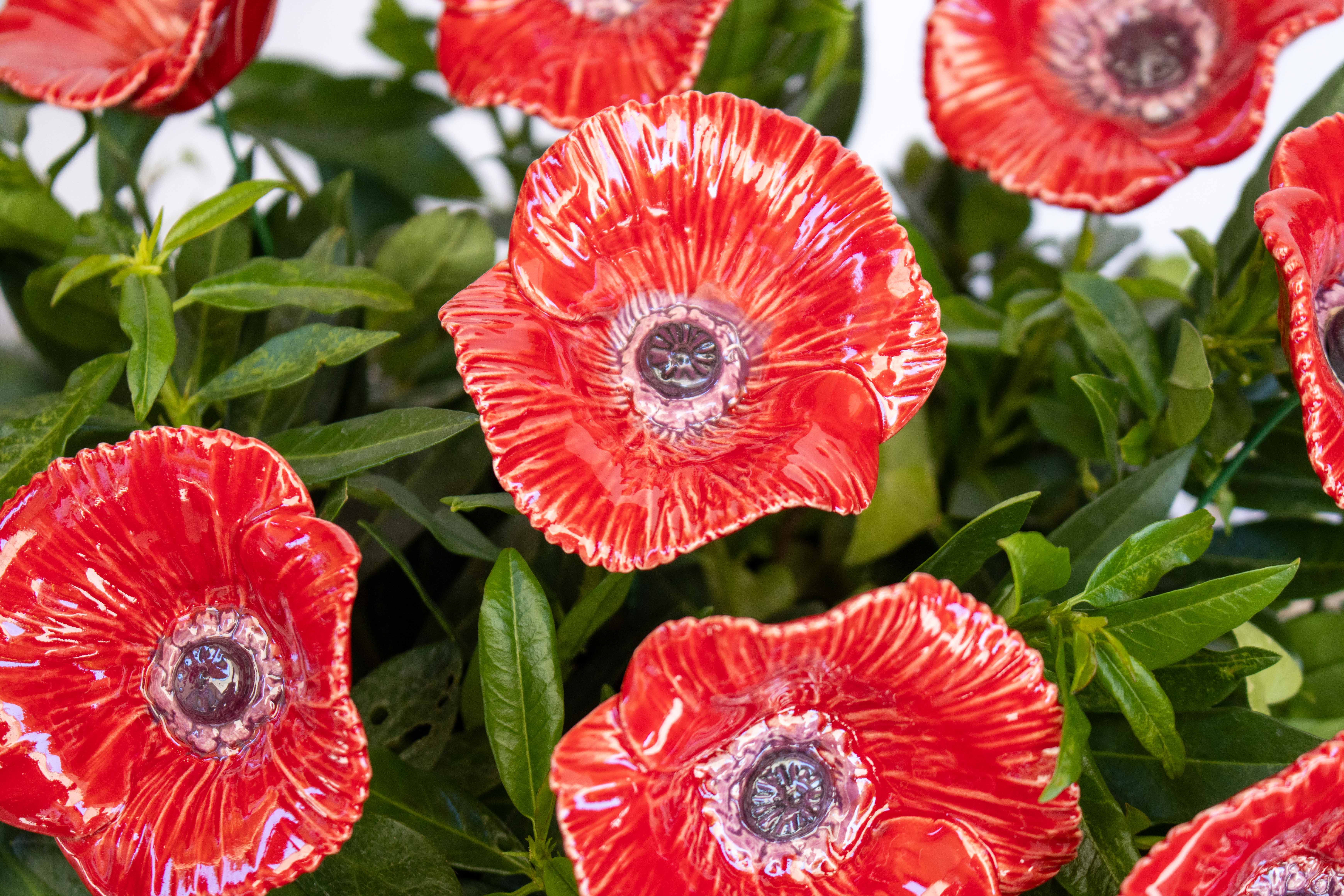 ceramic poppy
