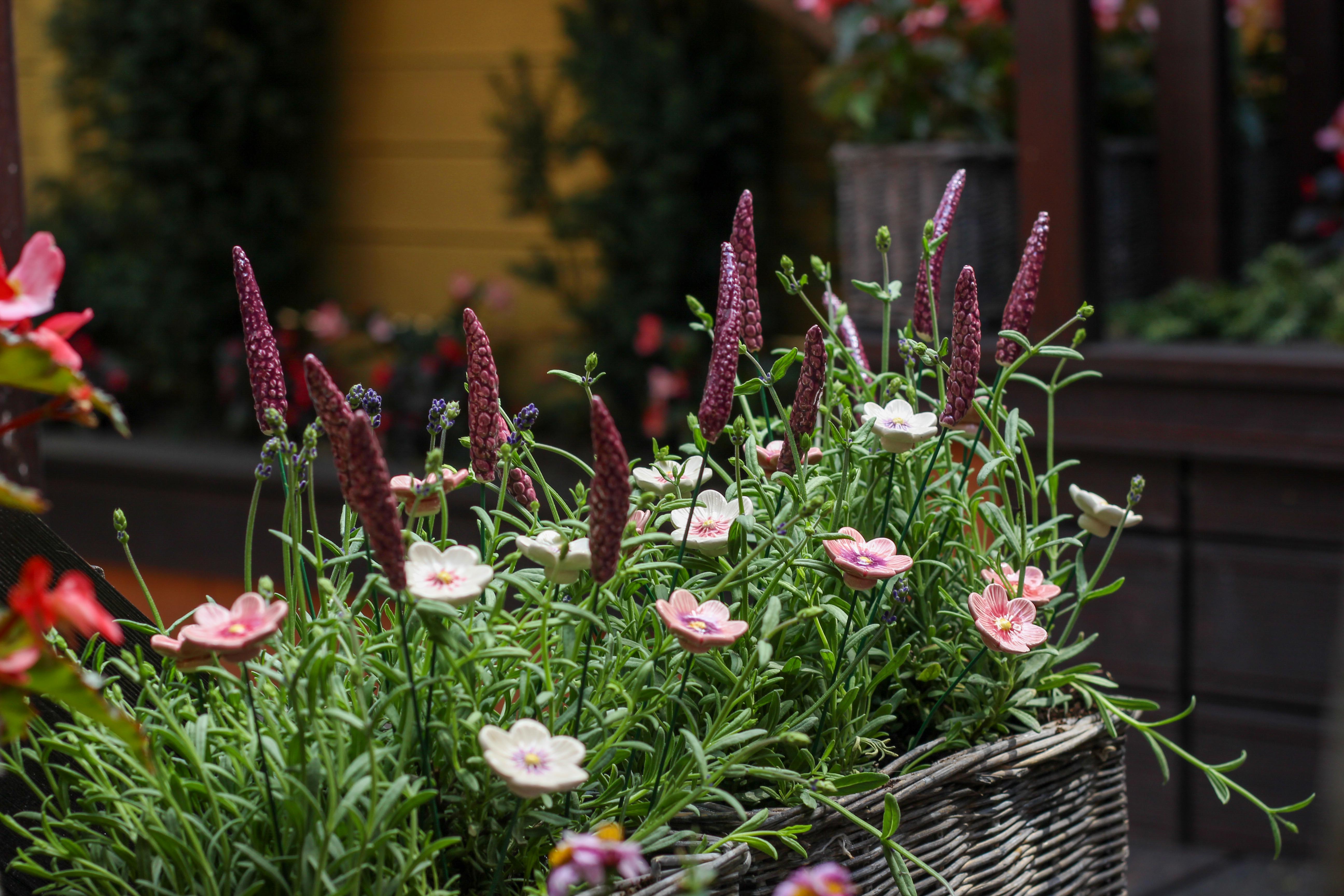 Ceramic lavender in the garden