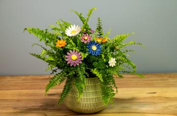 The 5 Most Common Houseplant Care Mistakes