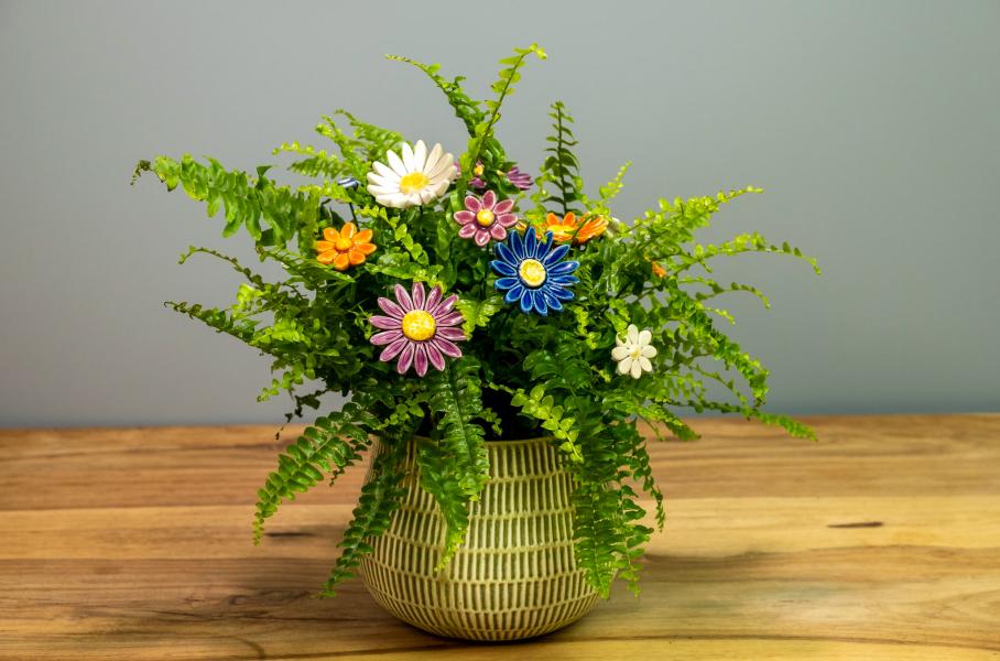 The 5 Most Common Houseplant Care Mistakes