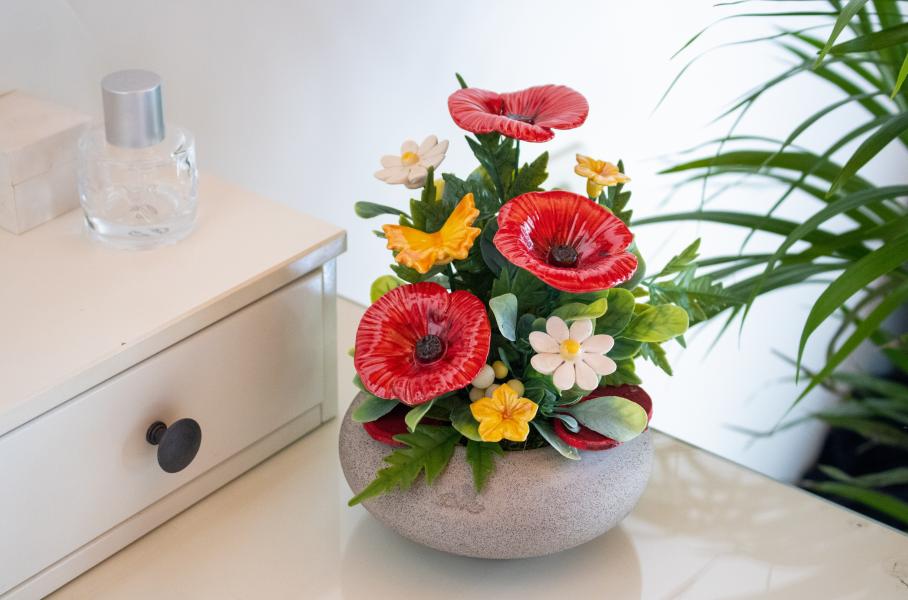 How to Choose the Perfect Plant for Your Home? 
