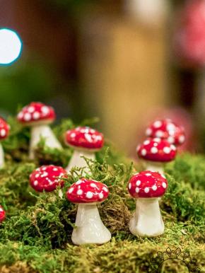 Little Mushroom - Red