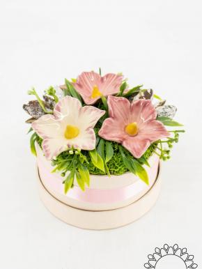 Flower Box with Mallow - Pink