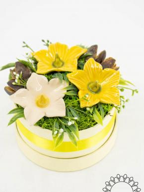 Flower Box with Mallow - Yellow
