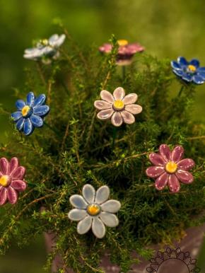 Little Daisy - Purple
