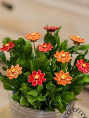 Little Daisy - Orange