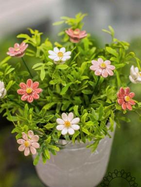 Little Daisy - White