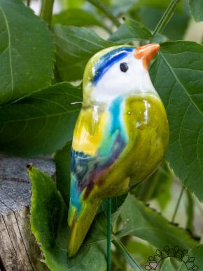 Little Bird - Mixed