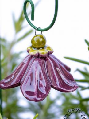 Hanging Bellflower  - Purple