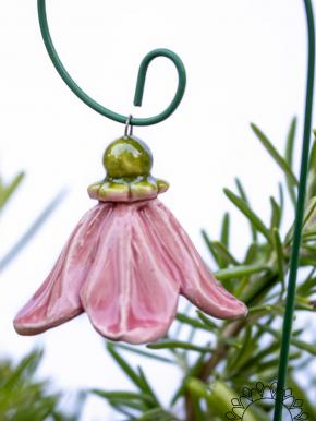 Hanging Bellflower  - Pink