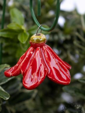 Mini Hanging Bellflower  - Red