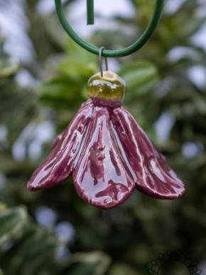 Mini Hanging Bellflower  - Purple