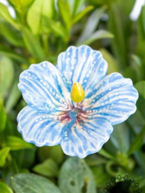 Hibiscus - Light Blue