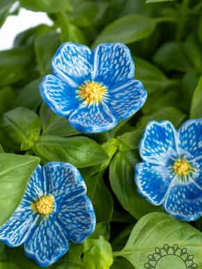 Linum Flower - Light Blue