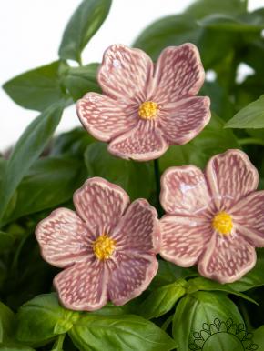 Linum Flower - Pink