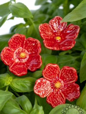 Linum Flower - Red