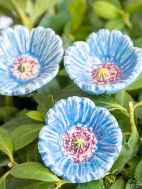 Little Garden Poppy - Light Blue