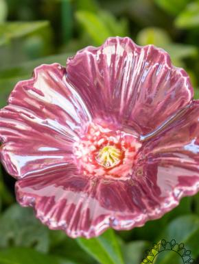 Garden Poppy - Purple