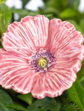 Garden Poppy - Pink