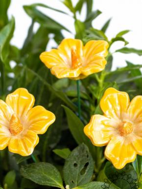 Little Mallow - Yellow