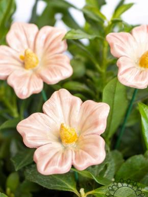 Little Mallow - Light pink