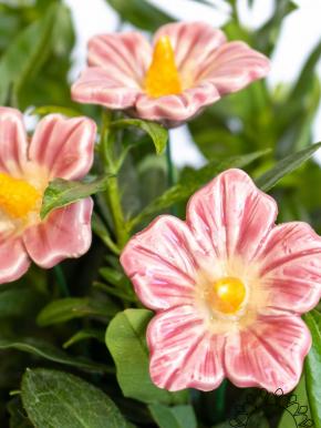Little Mallow - Pink