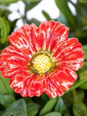 Garden Cosmos - Red