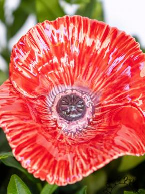 Poppy - Red