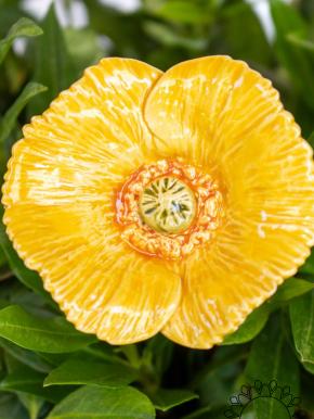 Decor Poppy - Yellow