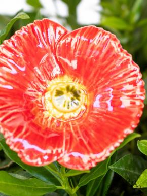 Decor Poppy - Red