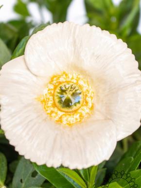 Decor Poppy - White