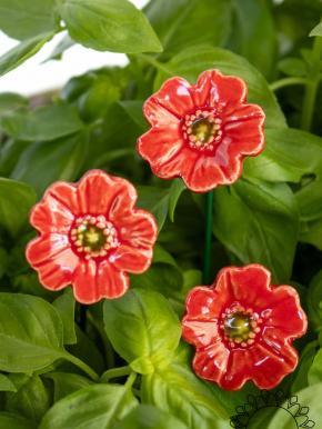 Mini Poppy - Red