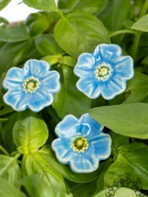 Mini Poppy - Light Blue
