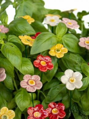 Strawberry Flower