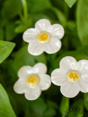 Strawberry Flower - White