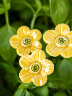 Strawberry Flower - Yellow