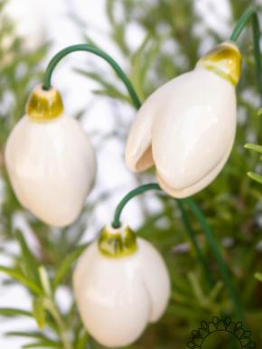 Snowdrop - White