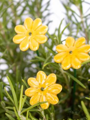 Mini Daisy - Yellow