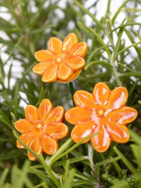 Mini Daisy - Orange