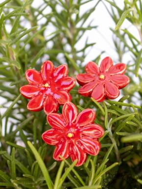 Mini Daisy - Red
