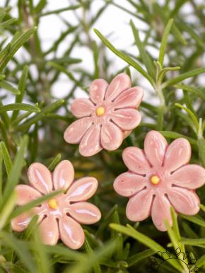 Mini Daisy - Pink