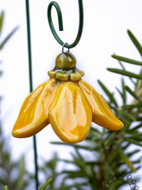 Hanging Bellflower  - Yellow