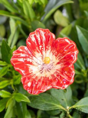 Hibiscus - Red