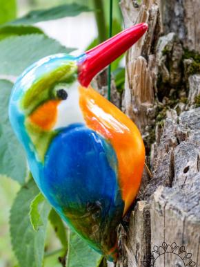Kingfisher Bird - Mixed
