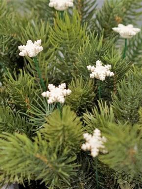 Snowflake - White