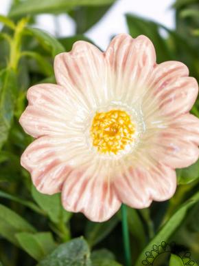 Moonflower - Light pink