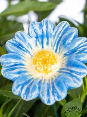 Moonflower - Light Blue