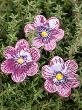 African Violet - Purple