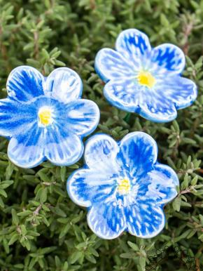 African Violet - Blue